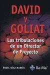 DAVID Y GOLIAT: TRIBULACIONES DE UN DIRECTOR DE PROYECTO