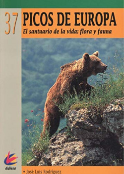 PICOS DE EUROPA