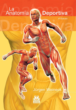 La anatomia deportiva