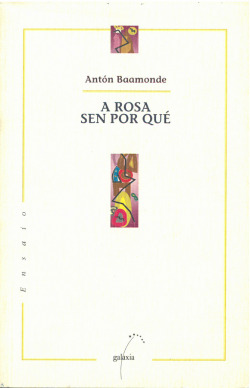 A ROSA SEN PORQUE