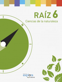 Ciencias naturaleza 6º primaria raíz