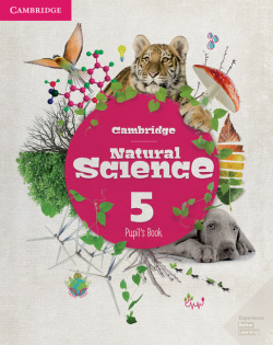 NATURAL SCIENCE 5 PUPIL'S BOOK