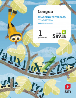 CUADERNO LENGUA 3-1ºPRIMARIA. CUADRÍCULA. MÁS SAVIA