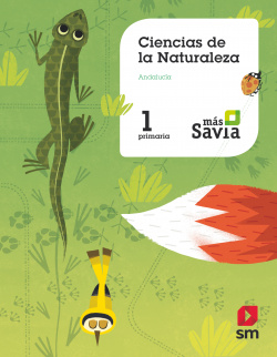 Ciencias de la naturaleza. 1 Primaria. Mas Savia. Key concepts Andalucia