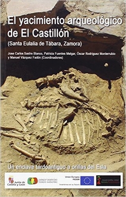 El yacimiento arqueologico de El Castillón (Santa Eulalia de Tábara, Zamora). Un enclave tardoantigu
