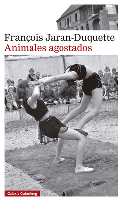 Capa